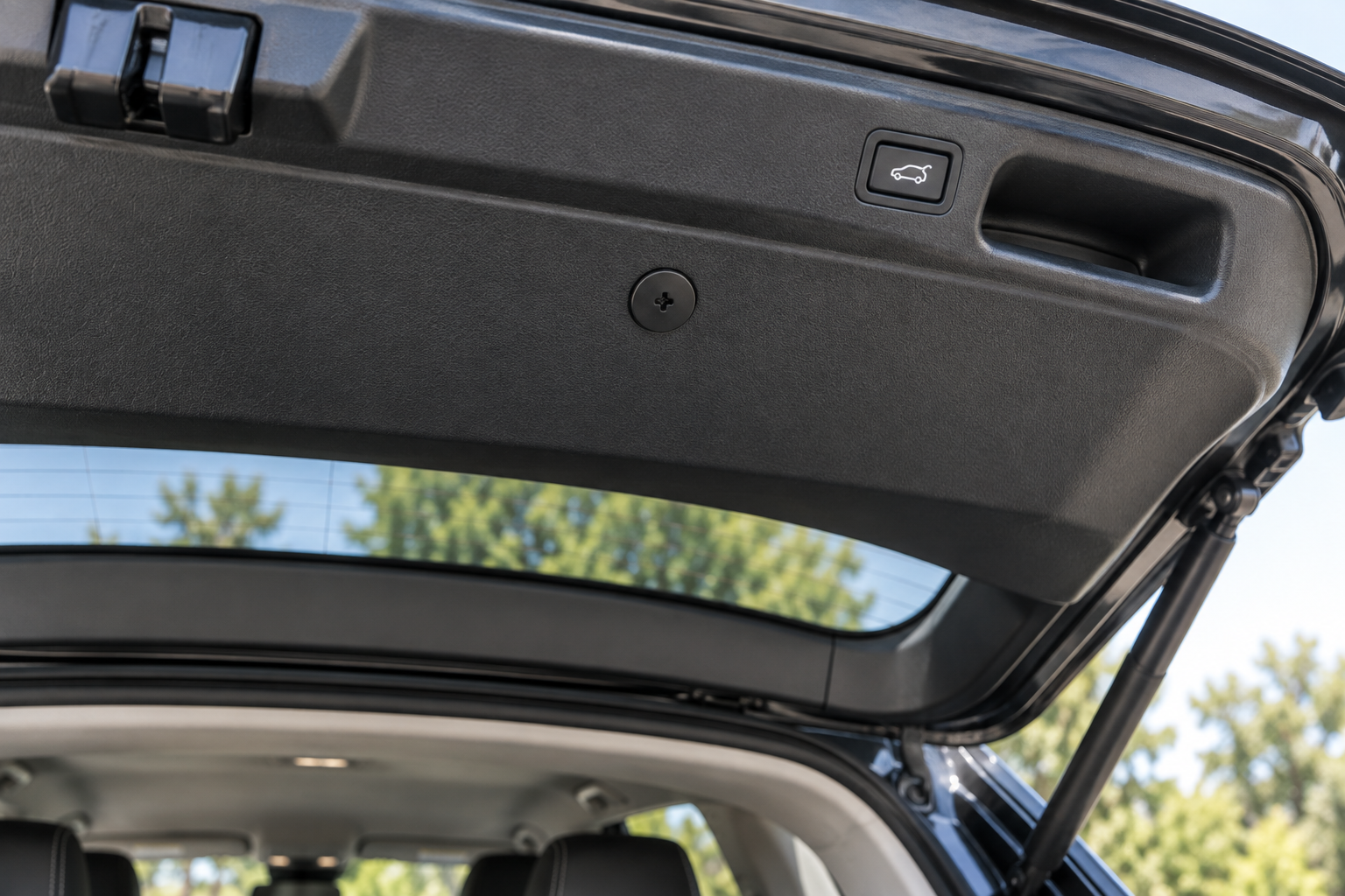 Black Memora screw Pin on SUV rear hatch